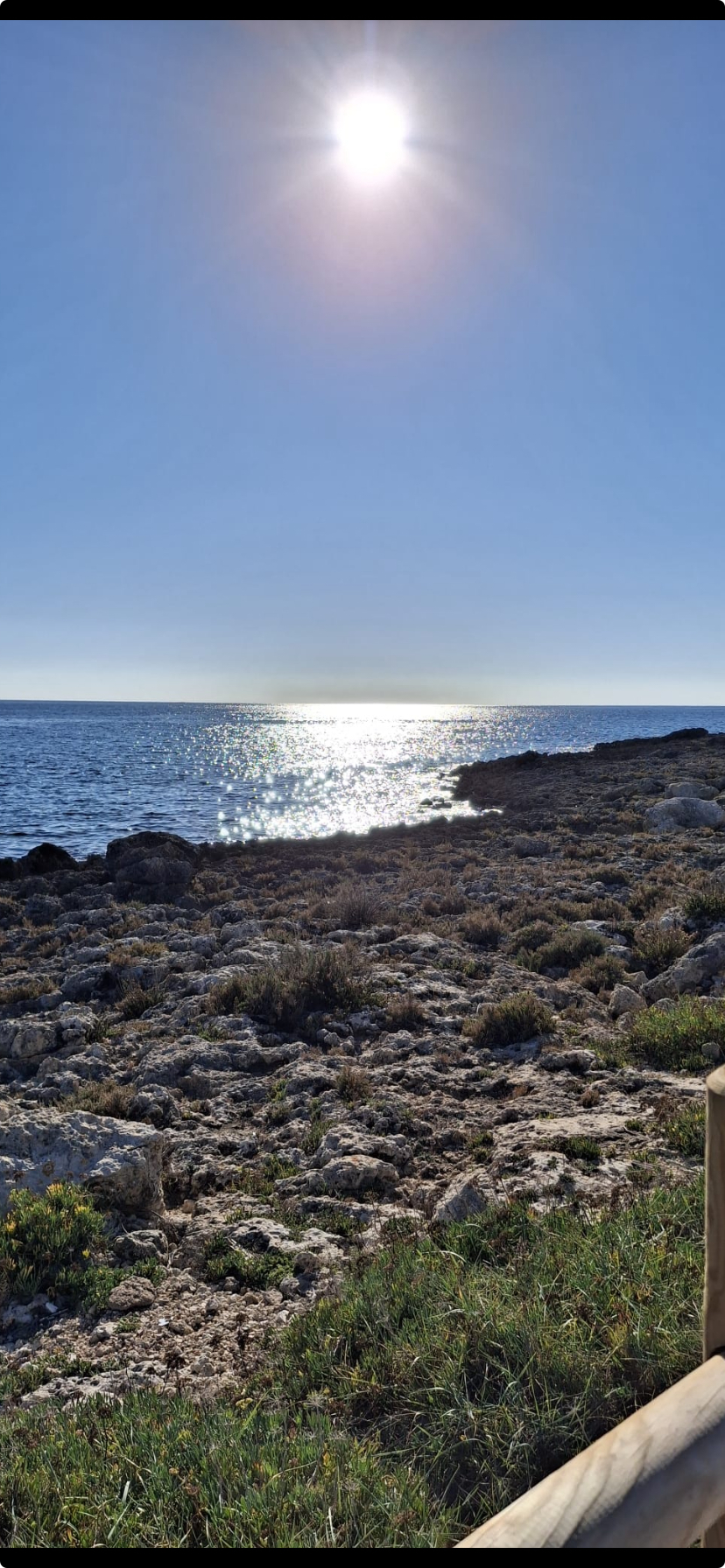 Le Borse crollano… governo ( americano) ladro …?